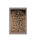 michael zacek - fingerprint