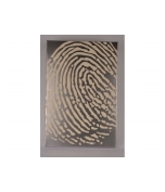 michael zacek - fingerprint