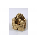 nugget IV
