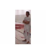 michael zacek - 56. malaktion hermann nitsch